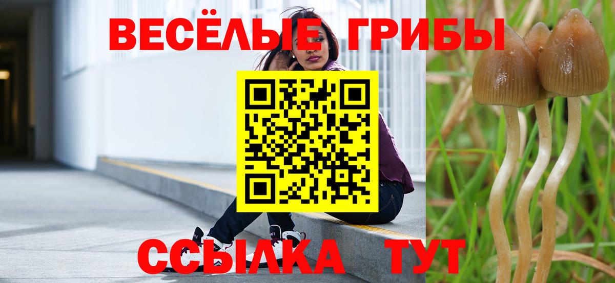 Галлюциногенные грибы Magic Shrooms  Вход с VPN  Амурск 